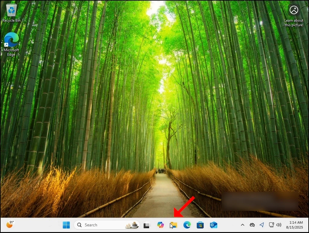 What Happens When Deleting the Windows.old Folder in Windows 11 What Happens When Deleting the Windows.old Folder in Windows 11