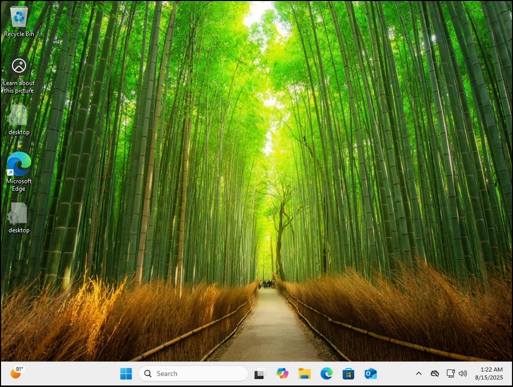 can-windows-11-boot-without-the-windows.old-folder-20.webp can-windows-11-boot-without-the-windows.old-folder-20.webp