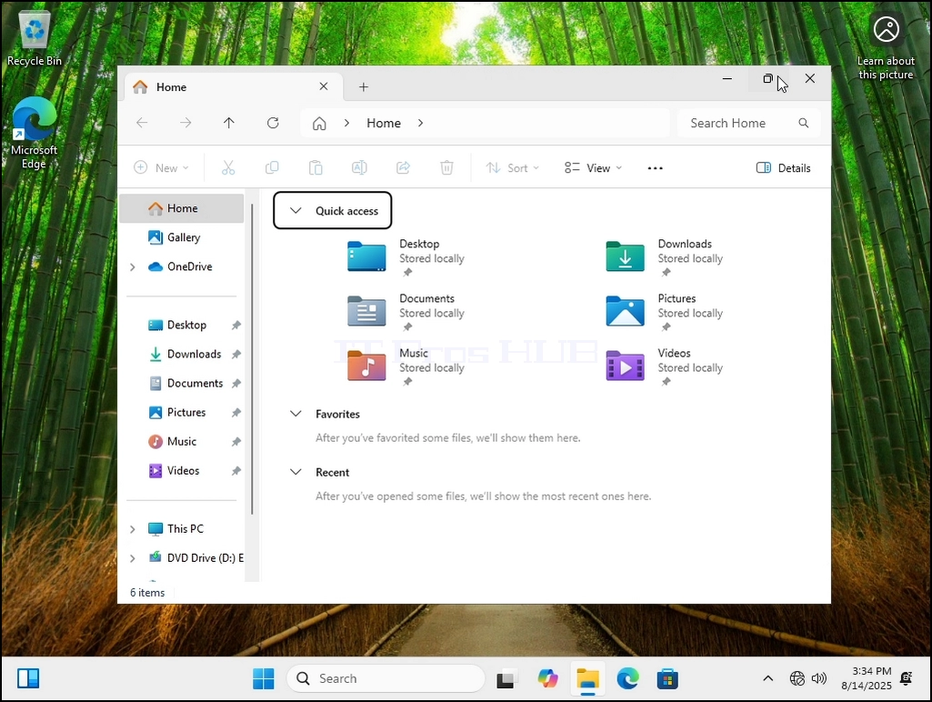how-to-see-hidden-files-and-folders-in-windows-11-5.webp how-to-see-hidden-files-and-folders-in-windows-11-5.webp
