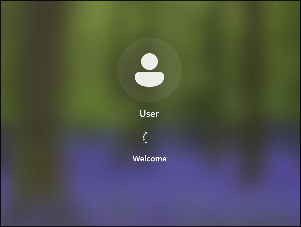 Can_Windows_11_Run_Without_a_Windows.old_Folder79.webp Can_Windows_11_Run_Without_a_Windows.old_Folder79.webp